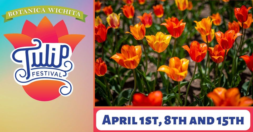 Wichita-Events-Tulip-Festival-at-Botanica
